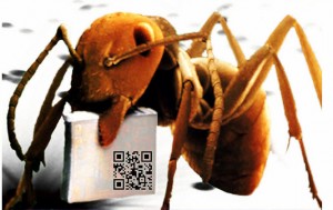 Bottom up by Fabrice de Nola is the first oil painting in the world that conveys content readable by a mobile phone via QR code. The code contains just one phrase: An internet of things, in reference to the convergence between the world of information and physical objects.